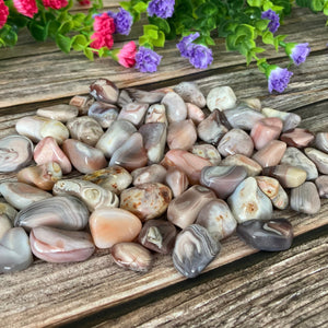Several tumbled Botswana Agate stones arranged on a textured wood surface, with vibrant flowers in soft focus in the background.
